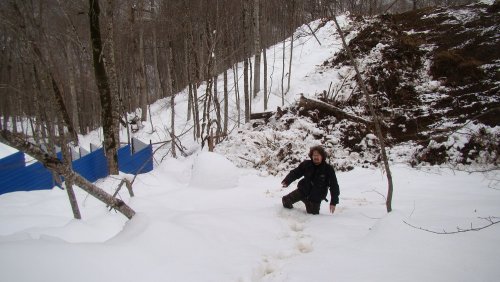 (2011.02.23) ЭкоВахта посетила район строительства олимпийской резиденции Путина и Медведева